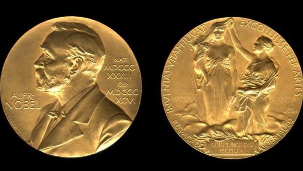 Стало известно, кому в Осло вручили Нобелевскую премию мира