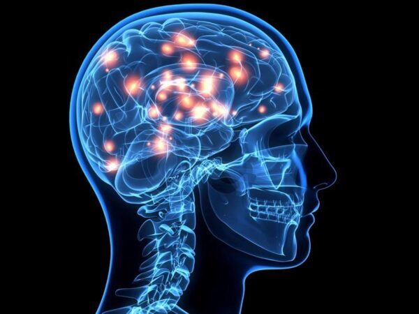 Ученые выяснили, сколько раз мозг человека «мутирует»