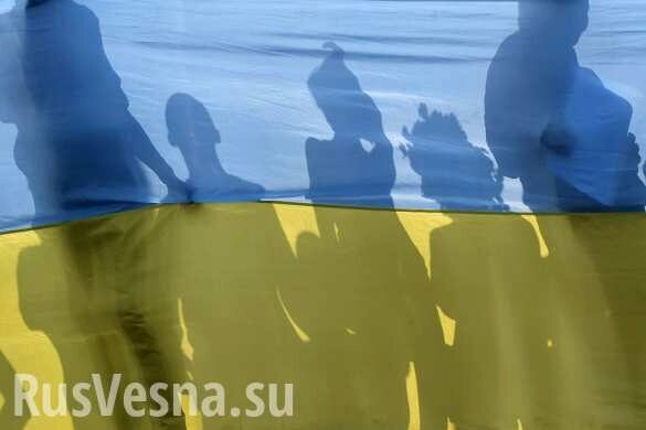 Украина: кого будем денацифицировать? (ВИДЕО)
