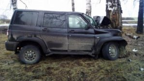 В Чаплыгинском районе «УАЗ Патриот» врезался в дерево, пострадал водитель