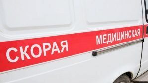 В ДТП с двумя «КамАЗами» под Воронежем пострадали женщина и 7-летний ребенок