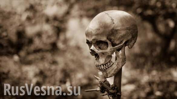 В Крыму найдено захоронение десятков обезглавленных жертв массовой казни