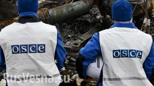 В ОБСЕ назвали число россиян и американцев в наблюдательной миссии на Донбассе