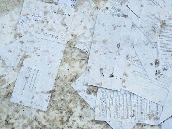 В Кургане кто-то выбросил на улицу конверты с квитанциями ЖКХ и письмами жителей