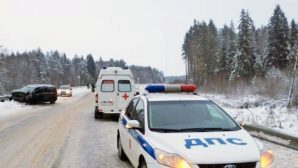 Жуткое массовое ДТП Кольском районе — погиб водитель