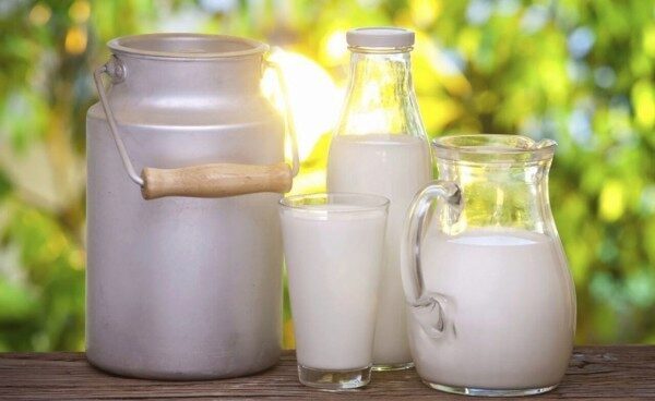 50% молока в детсадах и школах Крыма инфицировано