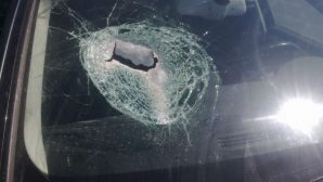 Астраханские вороны научились разбивать стёкла автомобилей камнями