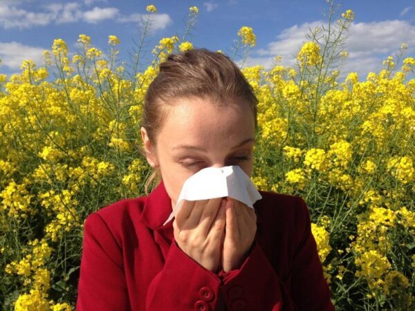 Австрийские ученые протестировали первую в мире вакцину от аллергии на пыльцу