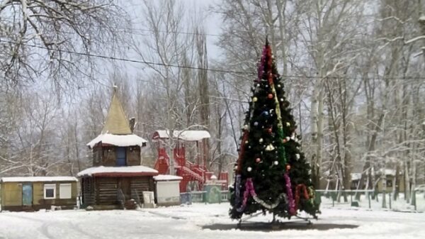 Демонтаж елок и новогодней иллюминации в Липецке начнут 15 января