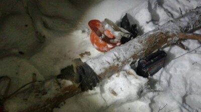 Деревом убило рабочего в Кировская область