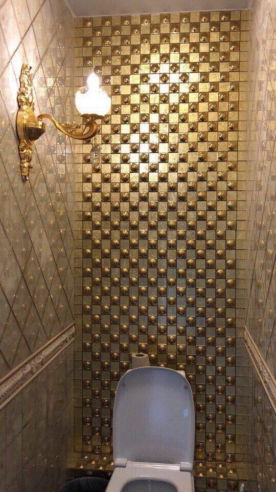 Гендиректор «Сима-Лэнда» о «золотом туалете» в УрГЭУ: «Это моя благодарность»