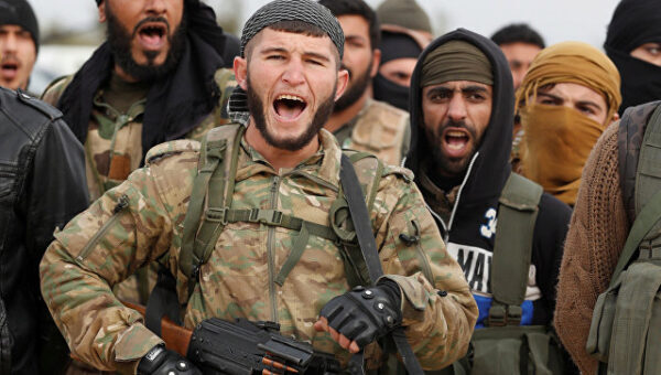 Госдеп: США призвали Турцию в Сирии сражаться с ИГ