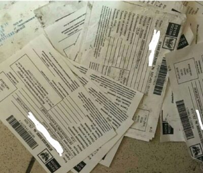 На Камчатке почтальон разбросала почту в подъезде из-за нападения собак