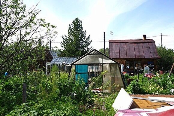 На Урале сотруднице Росреестра грозит 10 лет за махинации с садовыми участками пенсионеров