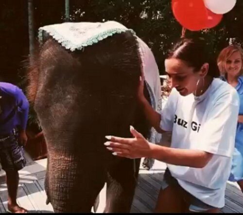 Ольге Бузовой подарили на день рождения большого серого слона