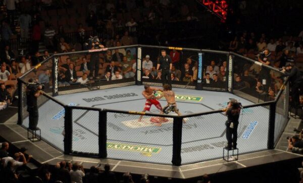 Первое в РФ бойцовское шоу UFC может пройти в «Олимпийском» в середине сентября