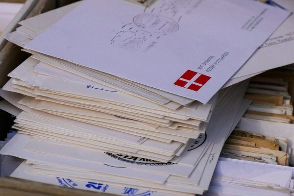 Почтальон на Камчатке потерял почту из-за бродячих собак