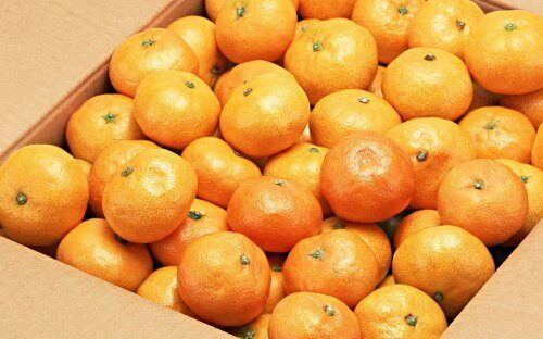 Почти 300 кг мандаринов собрали для детей-сирот в Нижегородской области