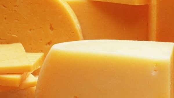 «Пятерочку» оштрафовали за просроченный сыр на 150 тысяч рублей