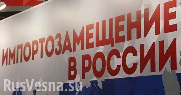 Россия запустила более 300 производств по программе импортозамещения