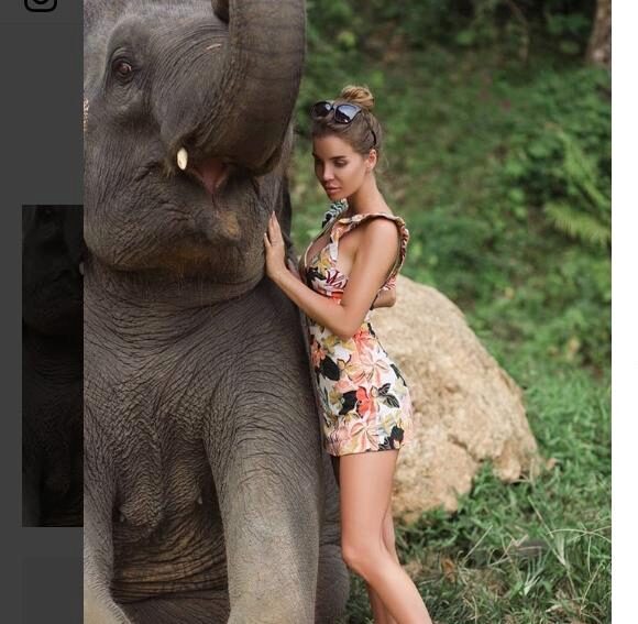 Саша Гозиас плакала вместе со слонихой из Таиланда