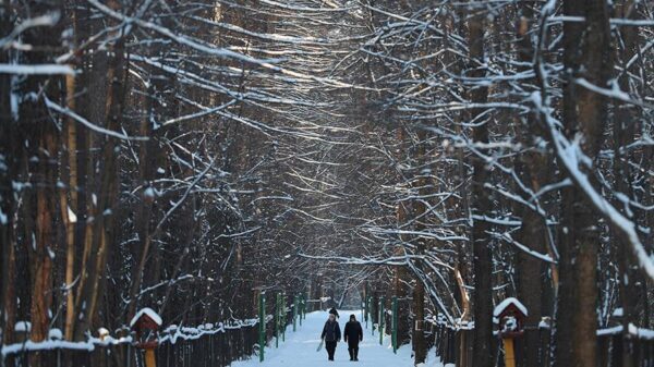 Синоптики утверждают, что на следующей неделе столицу РФ ожидают 10-градусные морозы