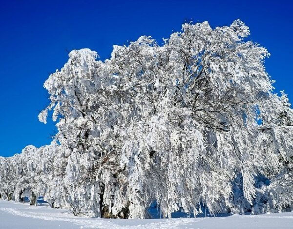 Снегопад в Самарской области продлится три дня