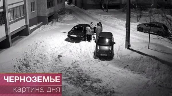 Соседи подрались из-за расчищенного от снега парковочного места (видео)