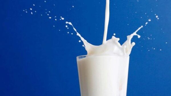 Ученые: Цельное молоко может быть полезней обезжиренного