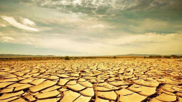 Учёные: глобальное потепление грозит высыханием почвы