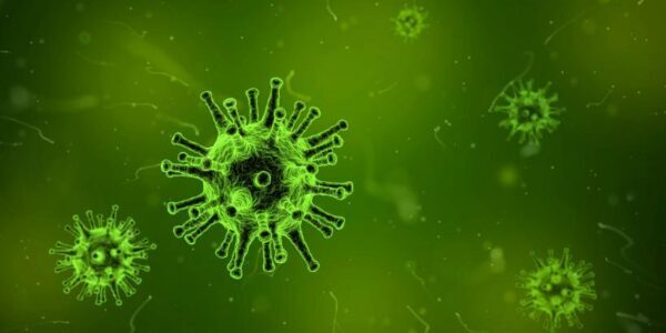 Ученые создали новую вакцину от гриппа на основе вируса-мутанта
