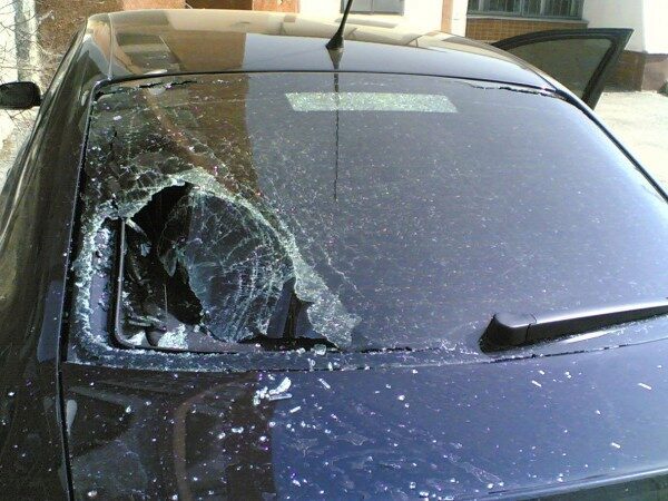 В Астрахани вороны бросают на автомобили камни и бьют стекла