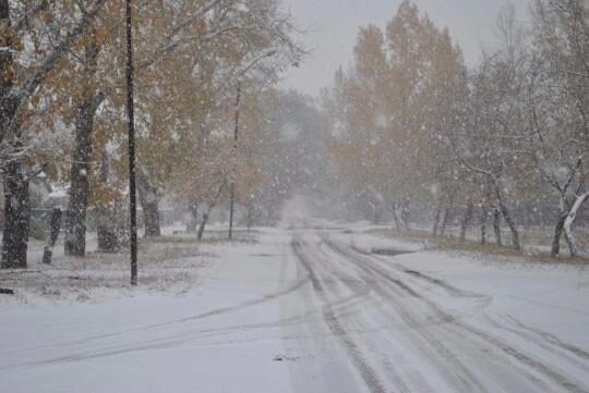 В Нижегородской области объявлено экстренное предупреждение из-за метели