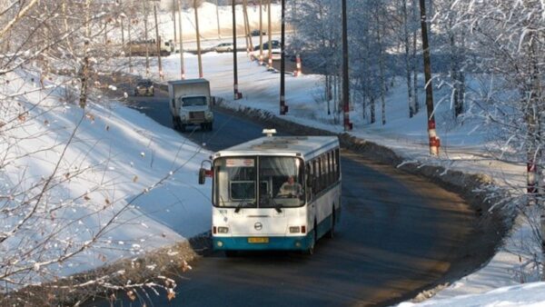 В Нижнем Новгороде изменится путь следования автобуса №29