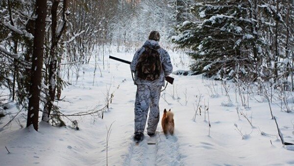В Саратовской области собака застрелила хозяина из охотничьего ружья