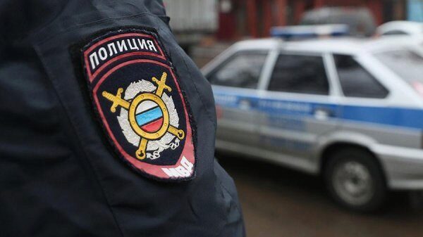 Женщина из Кемерово стала жертвой мошенников при покупке мопса