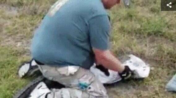 Житель Флориды спас аллигатора с помощью швабры и скотча