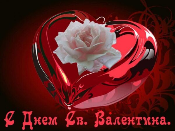 День святого Валентина 14 февраля: поздравления – короткие красивые, в прозе, яркие пожелания