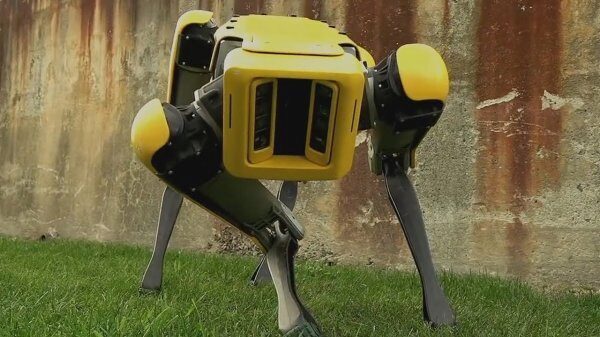 На Youtube появилось видео, как робот-собака не подчиняется человеку