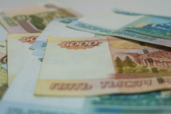 Ростовский предприниматель уклонился от налогов на 10 млн руб.