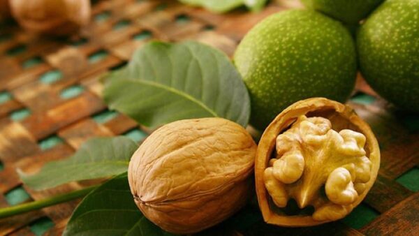 Ученые: Лимоны и грецкие орехи помогут сохранить молодость кожи