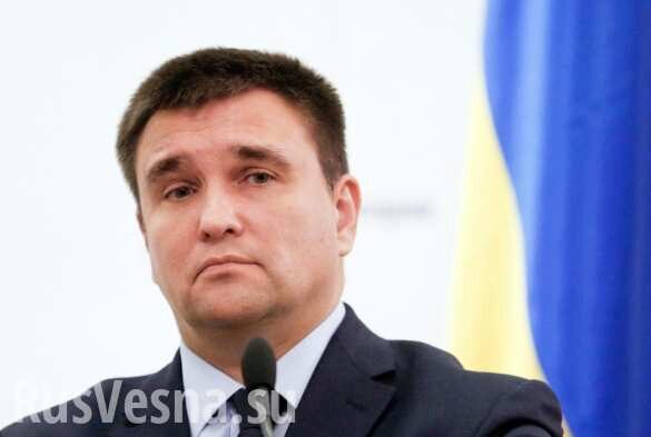 «Украина продолжает вносить вклад в борьбу с ИГИЛ», — Климкин (ФОТО)