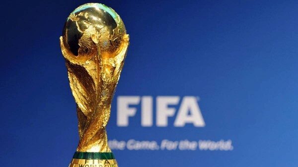 В Приамурье выявили контрафактные кубки FIFA