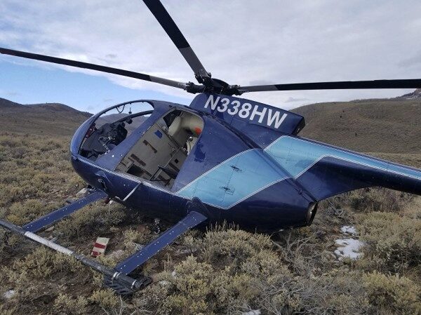 В США убегающий от преследования лось сбил вертолет