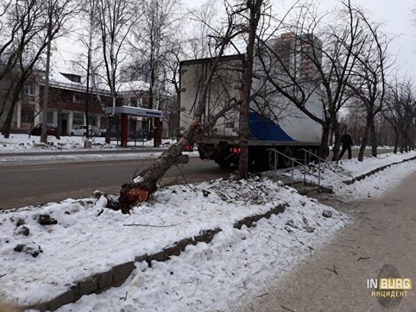 В Екатеринбурге водитель фургона на вырвал с корнем дерево на обочине