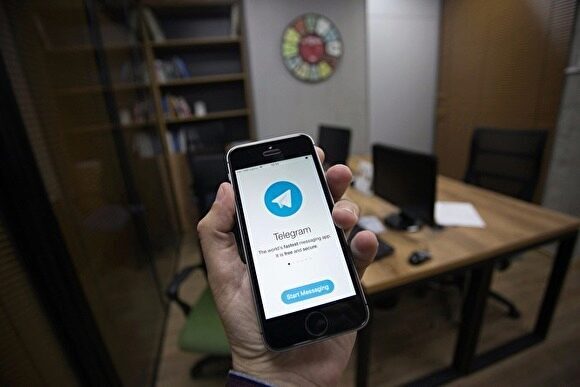 Каналы в Telegram и TamTam "зеркалят" друг друга, путая пользователей
