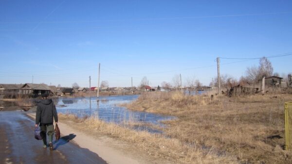 В Нижегородской области от воды освободился мост и участок дороги