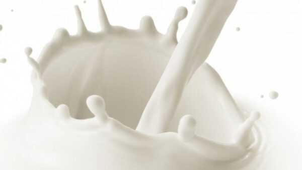 33 партии молочной продукции забраковали в Липецкой области
