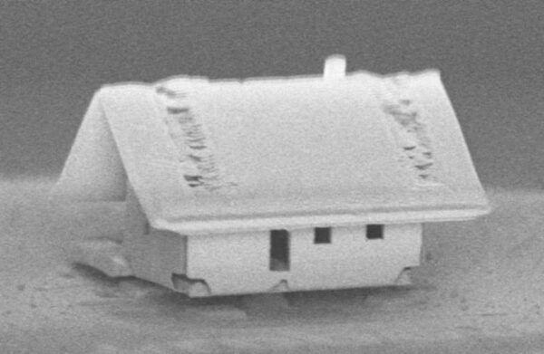 Французские инженеры построили микроскопический дом