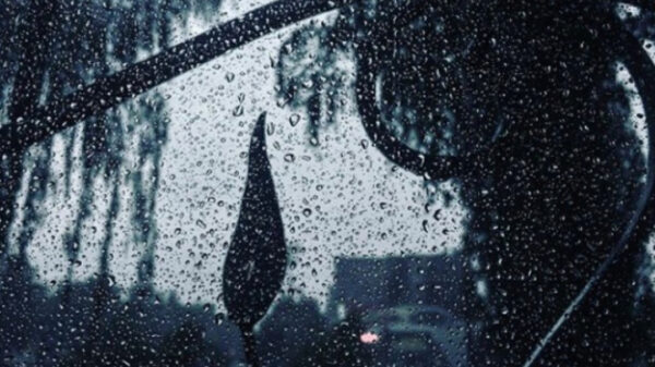 Липецк в дожде: обзор Instagram